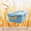 Square Lunch Box with Compartment, Wheat Straw Material, Leak - Proof, Japanese Style for Kids Student Food Container