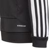 Adidas Grade School Sweatshirts Hooded Moderate GK9544