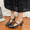 Fashion 2025 Spring Women Mary Jane Shoes New Fashion Retro Elegant Square Toe Thick High Heel Shoes Designer Ladies T-Strap Pumps Shoes