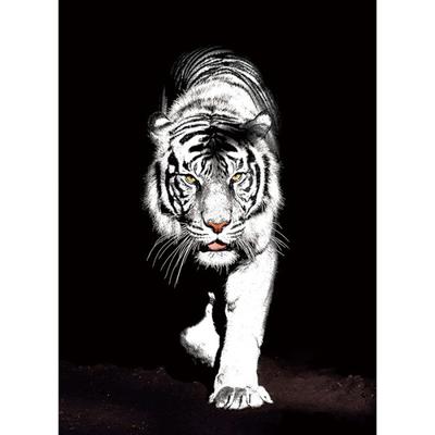 500 Piece Jigsaw Puzzle - White Tiger, Popular Korean Puzzle