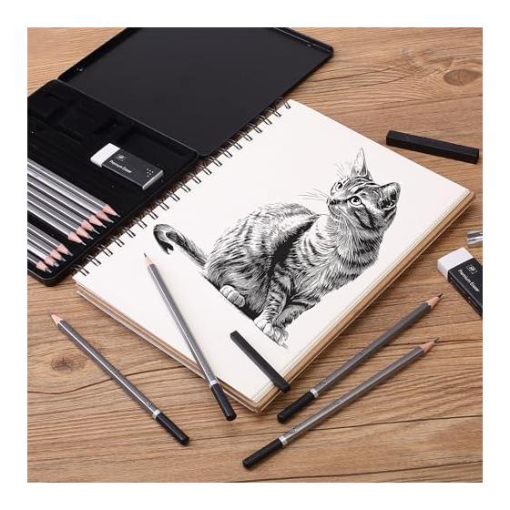 Mr. Pen - 19 Piece Sketch Pencils Set, Graphite Pencils (10B-6H) & Graphite Sticks, Eraser, Metal Sharpener for Drawing, Sketching, Shading, Art