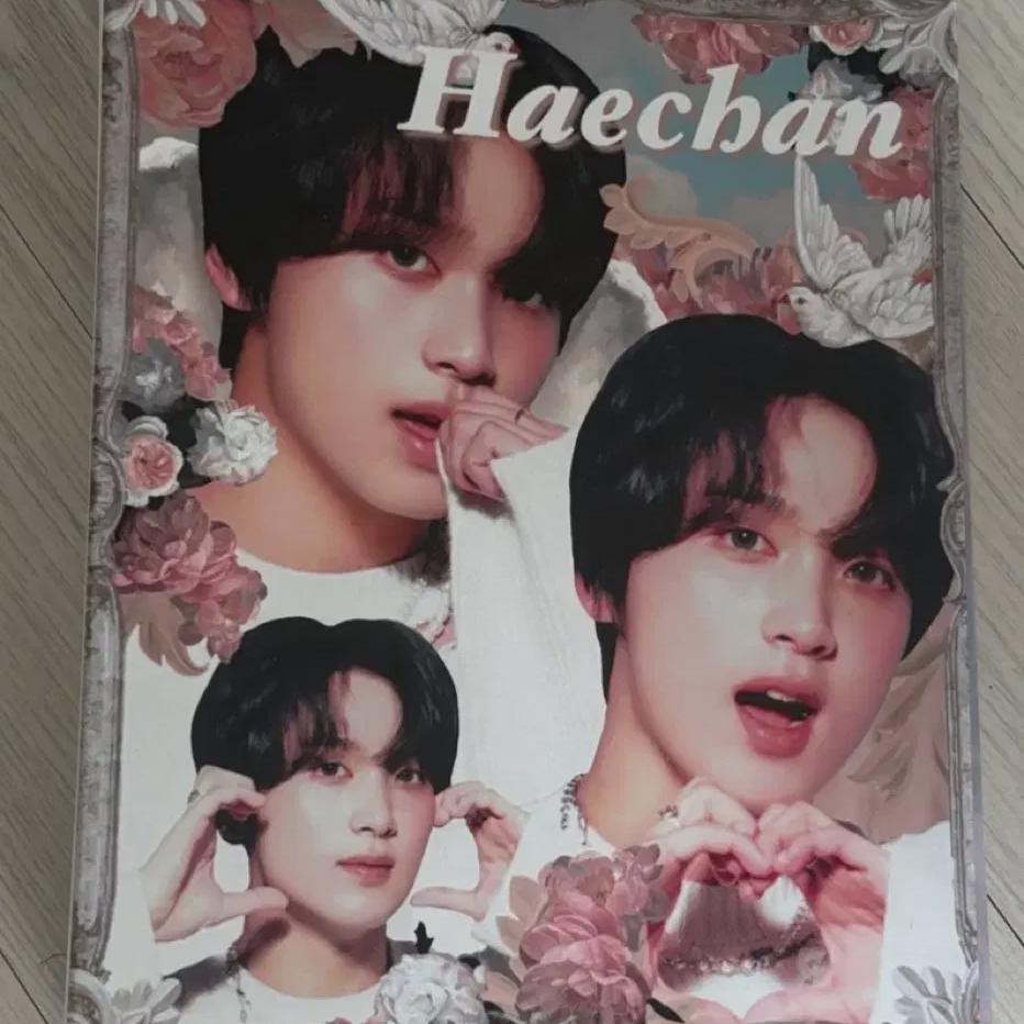 Half Price Nct127 Nct Ncitydream Haechan Demeter Binder Unused