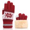 Autumn and Winter Cold Proof and Warm Knitted Gloves Christmas Style Plus Velvet Thickened Double Layer Touch Screen Gloves for Adults