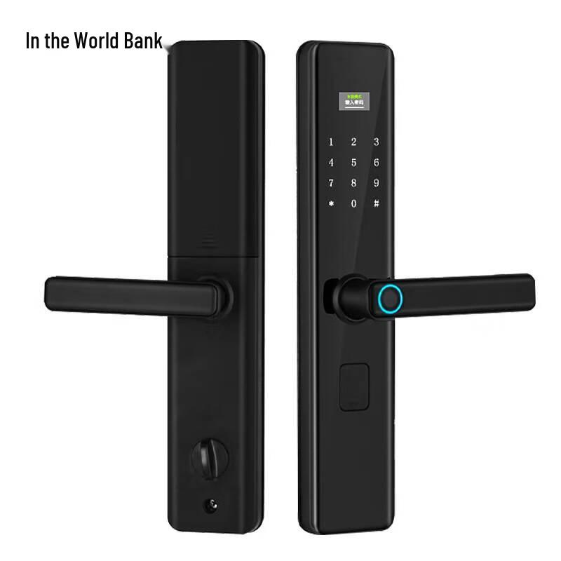 Zhongwei Shixing ZW-1601 Smart Electronic Door Lock CN plug (adapter included)