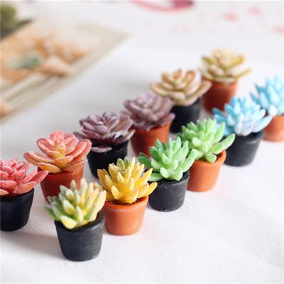 6 Stück Simulation Sukkulente Blumentopf Miniaturen Garten Puppenhaus Mikro Landschaft Dekoration Lebensechte Bunte Pflanzenfigur
