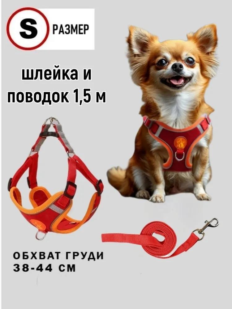 

Собака поводка One Size