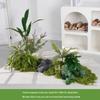 Luxury Faux Green Plant and Flower Decor - Indoor Moss and Grass Clusters for Elegant Landscaping.