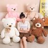 Cartoon Couple Bear Doll Plush Toy Bear Hug Bear Doll Girl Company Soothing Doll