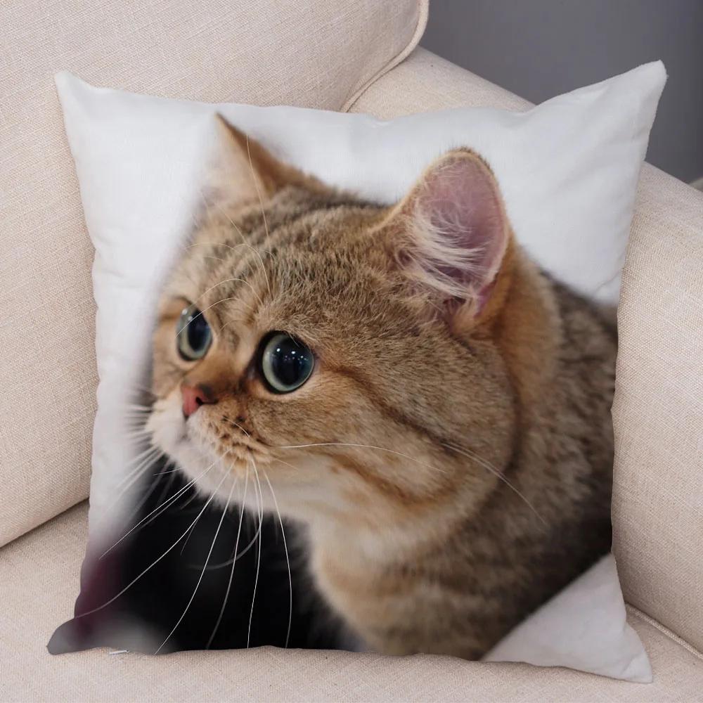 Russian Blue British Shorthair Cushion Cover Decor Cute Cat Pet Animal Pillowcase Soft Plush Pillow Case for Car Sofa Home
