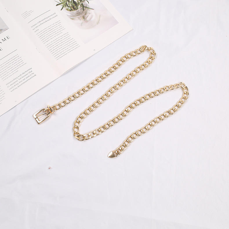 Women Metal Chain Belt 2026 Fashion Luxury Pin Buckle Waist Chain for Dress and Jeans
