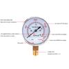 Capsule Pressure Gauge YE-60 Overpressure Prevention Micro Pressure Gauge 0-40kpa Hydraulic Pressure Kilopascal Meter