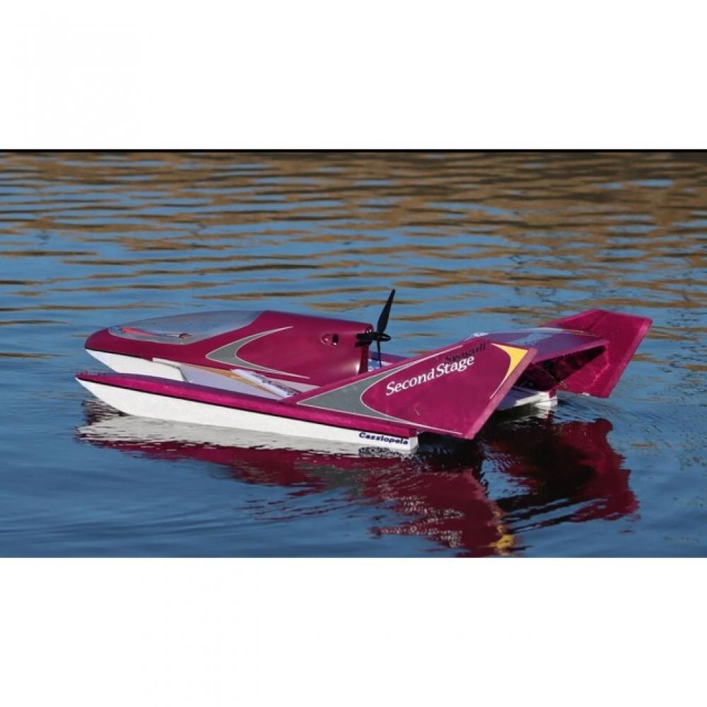 

Casiopea Pip Purple Seagull Second Stage