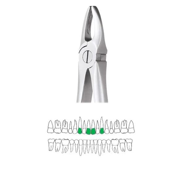 GDC Extraction Forceps Upper Anteriors - 1 Ergonomic (Fx1e)