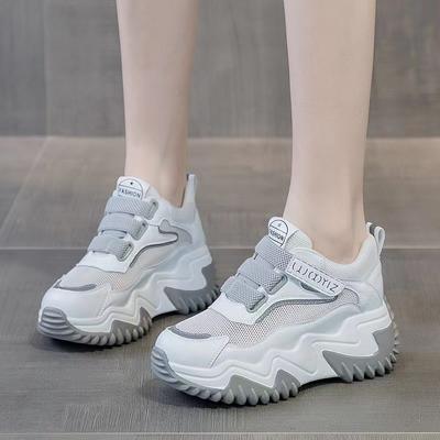 Dames Schoenen met Dikke Zool Mesh Kleine Witte Schoenen 2024 Lente Zomer Nieuwe Mode Veelzijdig Casual Ademend Verhogende Sneakers