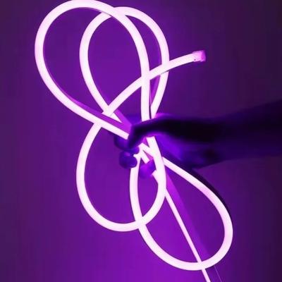 Side-Emitting LED Strip Light Waterproof Bendable Flexible Neon Light with Plug Energy Saving Neon Ribbon Light Holiday Decor