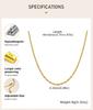 Stainless Steel Chain Necklace for Women,  0.6/0.8/1.0mm/1.8mm/2.3mm Thin Italian Choker Necklace 40cm-45cm