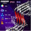 Longsafe Car RGB LED Set of Sound Full Car Remote Compatible 2 X 2 X Strips, Underlight, 4, Sensor, Color, Waterproof, IP65, Accessories, Flash,