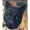 Cute and Adorable Black Big-Faced Cat Headgear Black Cat Mask Children's Masks School Show Performance Activities Early Education Animals