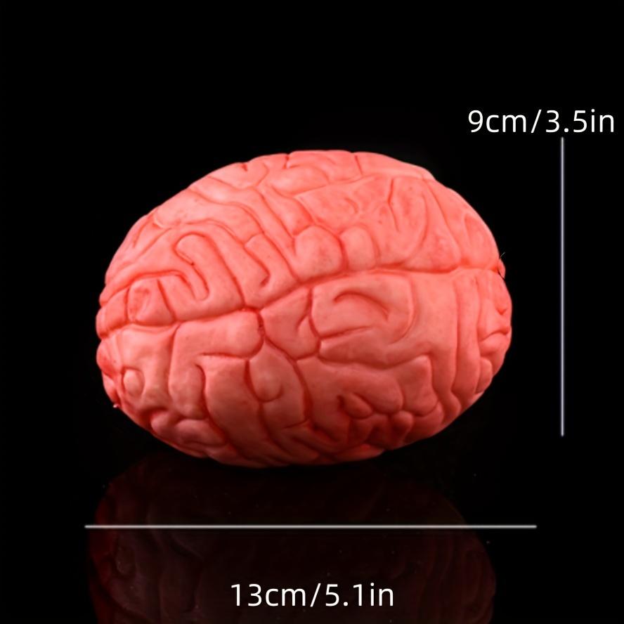 قطعة واحدة زينة الهالوين زينة أطراف بيولوجية بشرية دماغ قلب مكسور هالوين زينة أجواء الهالوين