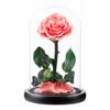 Eternal Flower Glass Cover Little Prince Rose Valentine's Day Gift Premium Finished Gift Box