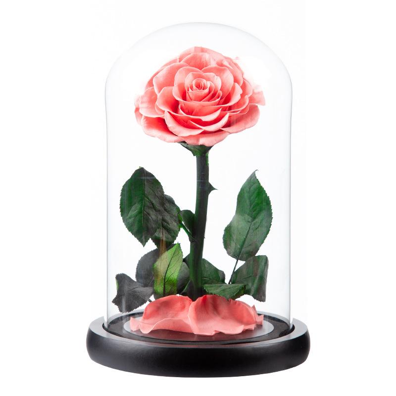 Eternal Flower Glass Cover Little Prince Rose Valentine's Day Gift Premium Finished Gift Box