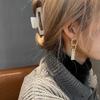 South Korea Dongdaemun new chain exquisite fashion earrings temperament ins trendy fashion generous cold wind earrings