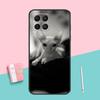 Sphynx Sphinx Cat For Samsung Galaxy M16 M31 M21 M33 M53 M13 M12 M32 M52 M11 M35 M55 M15 M14 M34 M54 M06 Case