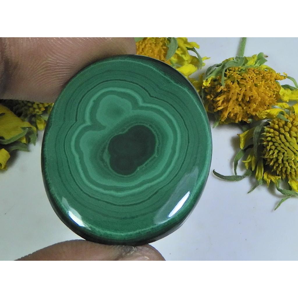 AA++ 68Cts. Natural Green Malachite Oval Cabochon Loose Gemstone 28X35X05MM D-60