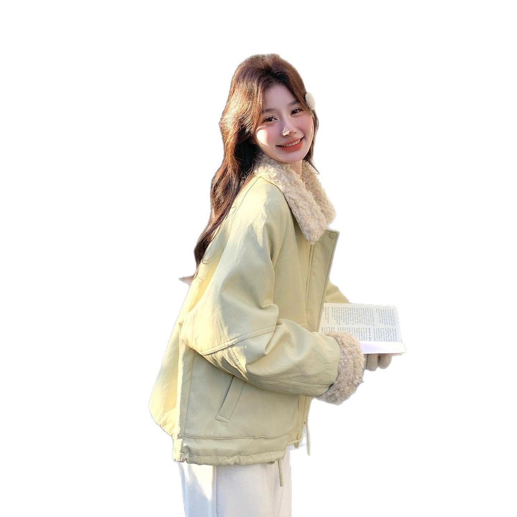 Beige Patchwork Lambswool Lapel Parka with Rabbit Fur - Women's New Winter 2025 Casual Jacket