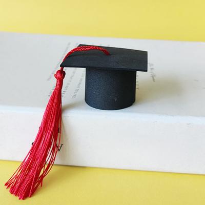 10 ks ozdoba na bakalářskou čepici, doktor, mistr, promoce, sezóna, ozdoba na dort, kytice, dekorace, rekvizita s střapcem, lehké párty laskavosti, mini dekorace na klobouk