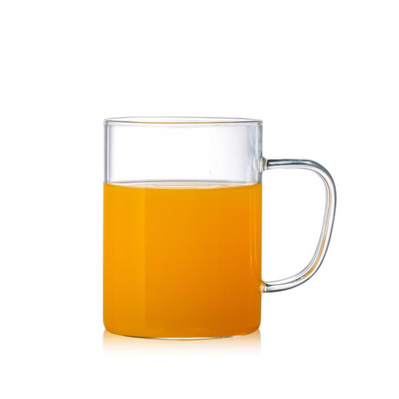 SX High-Temperature Glass Water Cup
