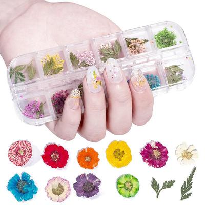 1 Scatola Fiori Secchi Piante Secche per Stampi in Resina Riempimenti Ciondolo in Resina Epossidica Pinzette Creazione Gioielli Artigianato Fai da Te Decorazione per Unghie