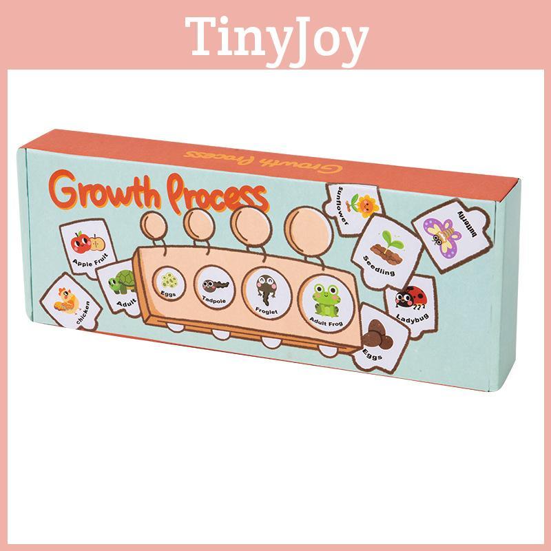 Growth Cycle Montessori Puzzle Wooden Educational Toy For Preschool Learning