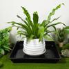 2Pcs Durable Plastic Plant Saucer Square Drip Plant Trays Flower Pot Indoor Outdoor Home Garden Supplies