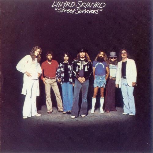 CD LYNYRD SKYNYRD - Street Survivors MCAD1687 MCA Records US Rock Used