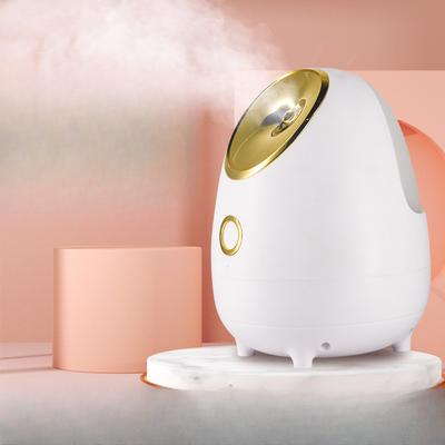 Household Small Face Steamer, Hot and Cold Hydration Spray Instrument, Beauty Instrument, Facial Cleansing, Moisturizing and Hot Spray Face Steamer