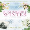 Blackberry Winter by Sarah Jio Paperback Book 9781409190776
