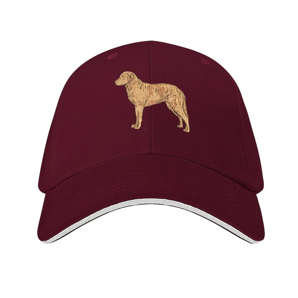 Chesapeake Bay Retriever Colorful Silhouette Baseball Cap Hiking Hat Thermal Visor Sunscreen Ball Cap Women Unisexs