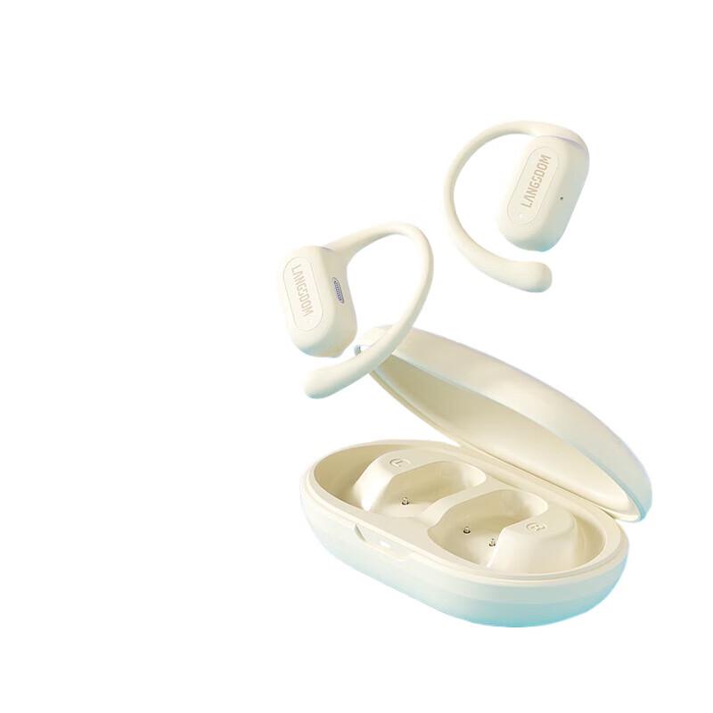 Lanston TS19 Open-Ear Sport Bluetooth Earphones