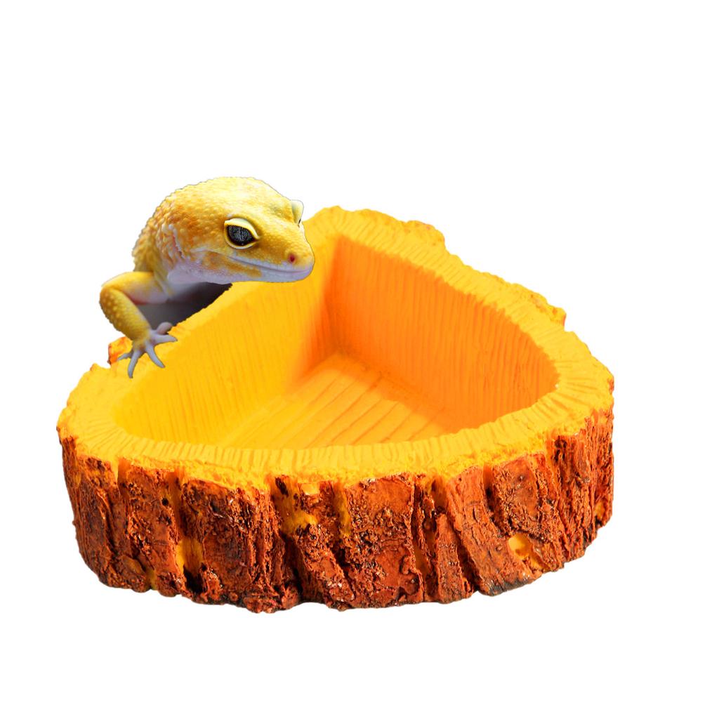 gecko water dish