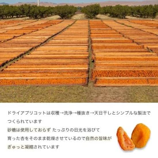 Kojimaya Dried Apricot 1kg South African Sugar Free Fancy Apricot Dried Fruit