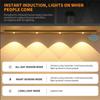 Ultradünnes wiederaufladbares Bewegungssensor-Unterbaulicht USB-LED-Licht Küchenschrank Schlafzimmer Kleiderschrank Innenlichtleiste
