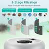 Grade True Filter for Core Pet Care Removal Filter Pack True Replacement Filter Lightweight for Core P350/P350-RF