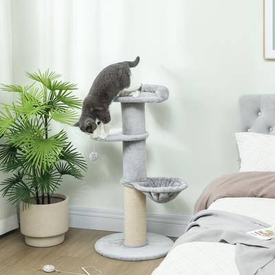Katzen