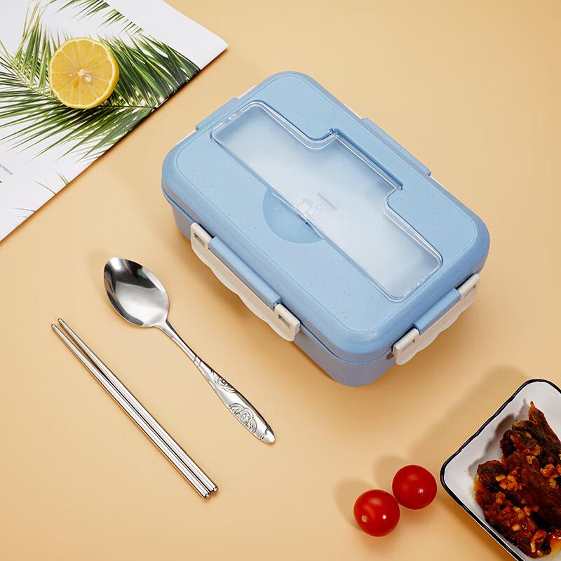 ZISIZ Divided Lunch Box with Cutlery