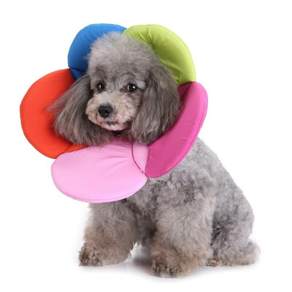 Surgery Wound Healing Elizabethan Collar Neck Cone Recovery Pets Protective Collar Protection Cover
