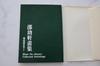 [USED] Shao Yuxuan Art Book Taiwan