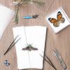 Insect Specimen Making Tool Insect Pin Wing Plate DIY Butterfly Specimen Tools Specimen Display Accessories Set for Butterfly
