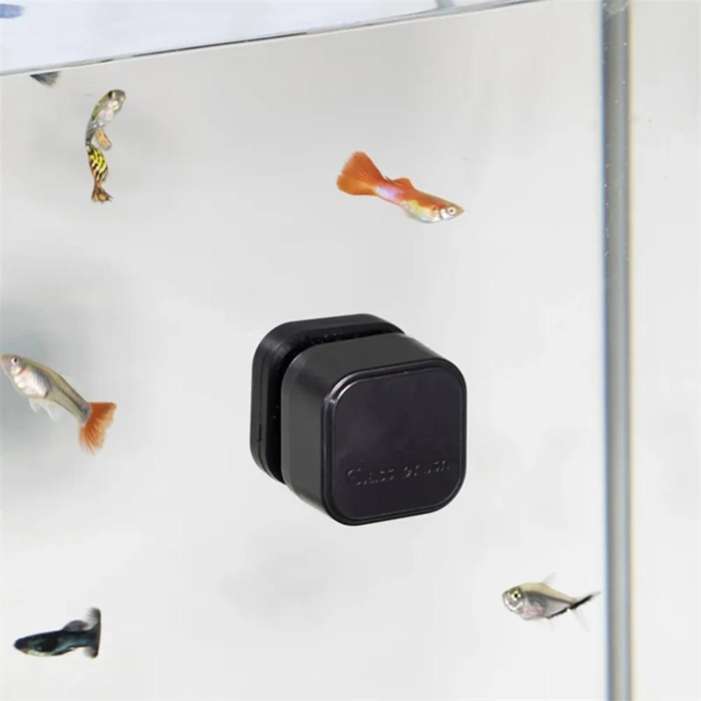 1 Stück Magnetischer Aquarienglasreiniger Bürste, Mini Quadratischer Kunststoff Algenkratzer für Fischbecken Wartung Geeignet für Verschiedene Fische