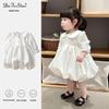 2025 Girls' Princess Dress - Fairy Fashion Birthday Performance Skirt